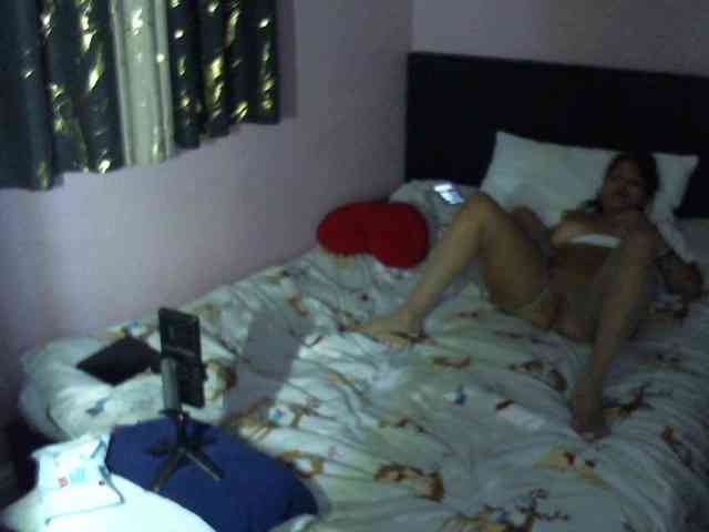ElaGeo webcam
