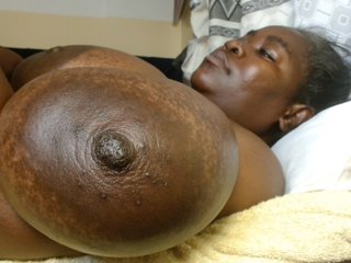 titi-fiesta Porn Show