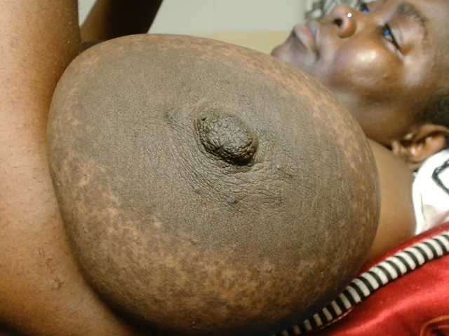 titi-fiesta