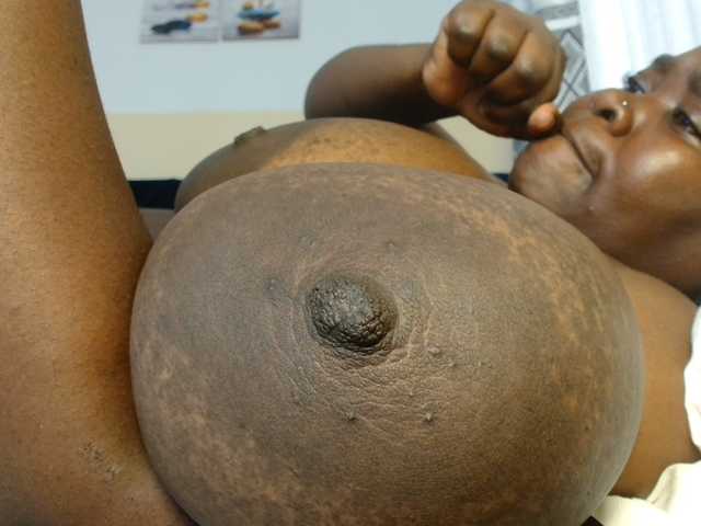 titi-fiesta live cam preview