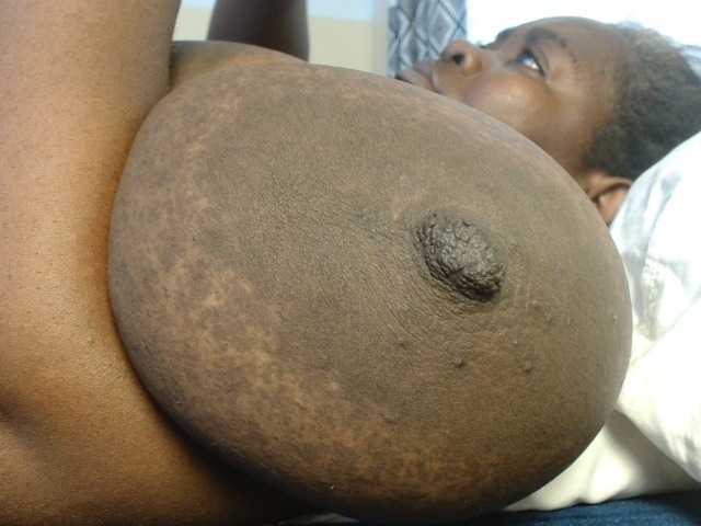 titi-fiesta, en vivo ahora en BongaCams