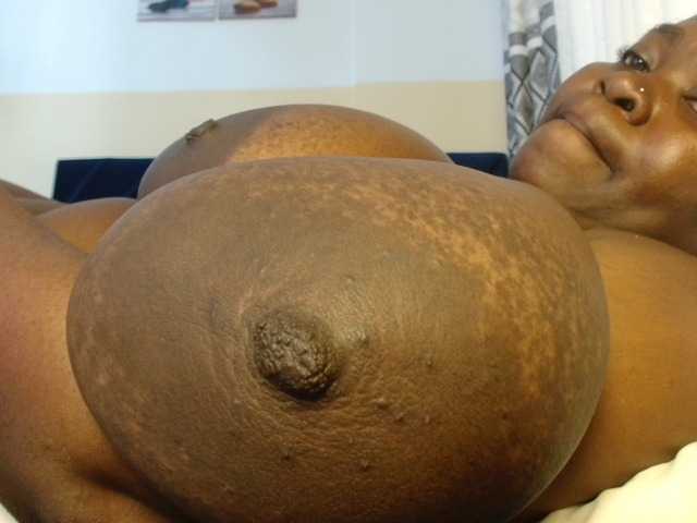 titi-fiesta live cam preview