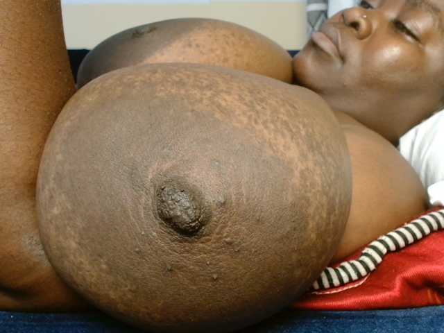 titi-fiesta live cam preview