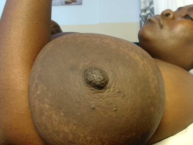 titi-fiesta live cam preview