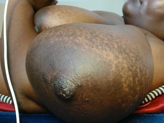 titi-fiesta live cam on BongaCams