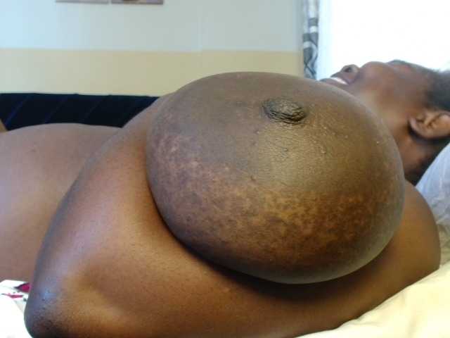 titi-fiesta live cam preview