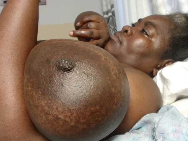 titi-fiesta live cam preview