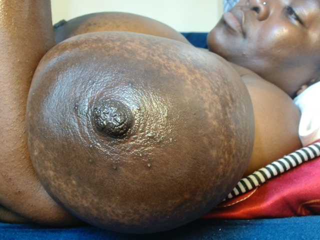 titi-fiesta