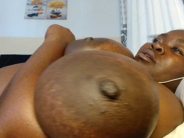 titi-fiesta