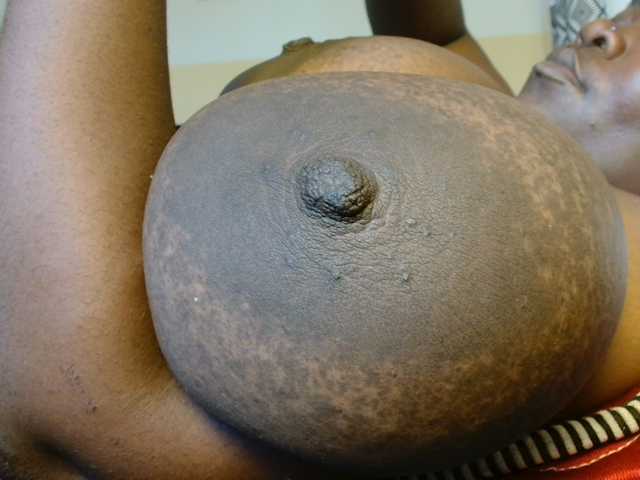 titi-fiesta