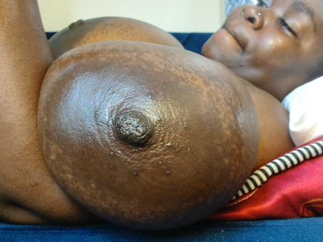 titi-fiesta live cam on BongaCams