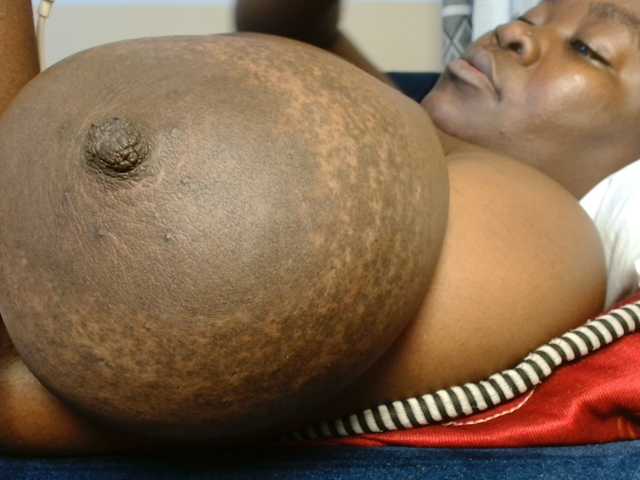 titi-fiesta