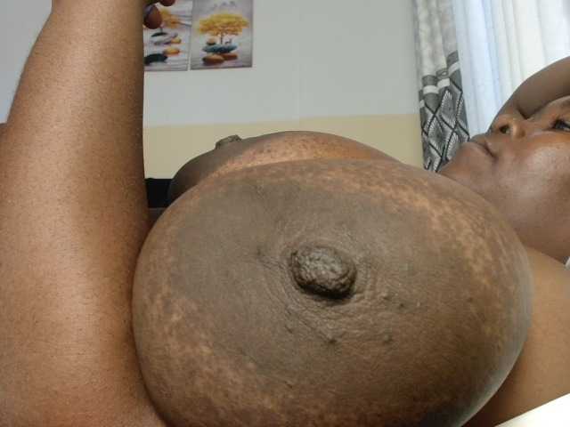 titi-fiesta