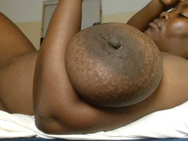 titi-fiesta