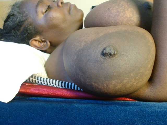 titi-fiesta