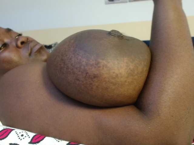 titi-fiesta live cam preview
