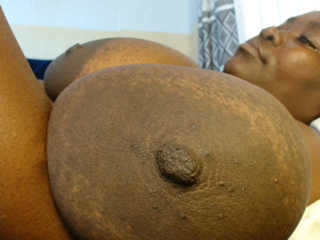 titi-fiesta, live now on BongaCams