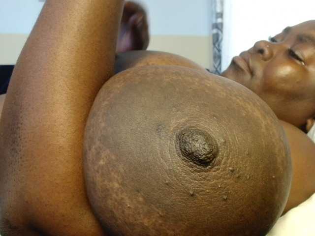 titi-fiesta