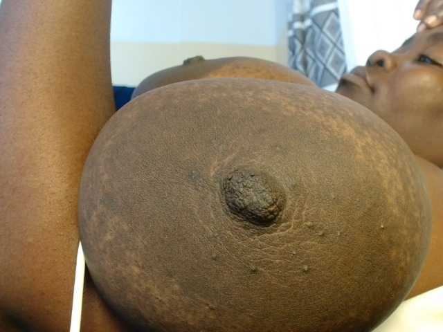 titi-fiesta, en vivo ahora en BongaCams