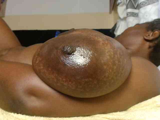 titi-fiesta webcam