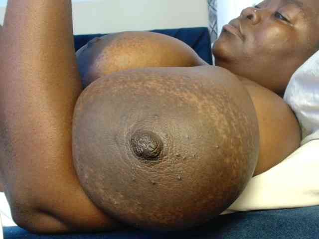 titi-fiesta webcam