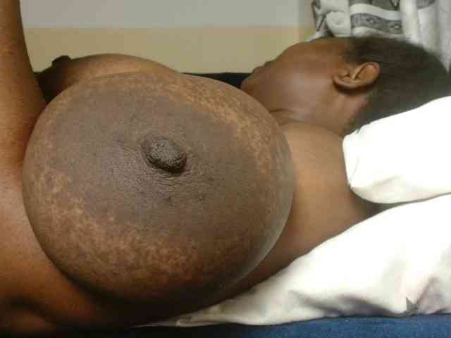 titi-fiesta webcam