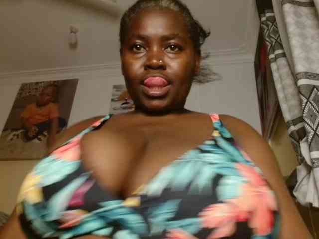 titi-fiesta webcam