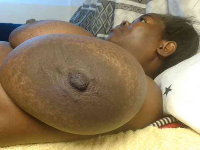 titi-fiesta webcam