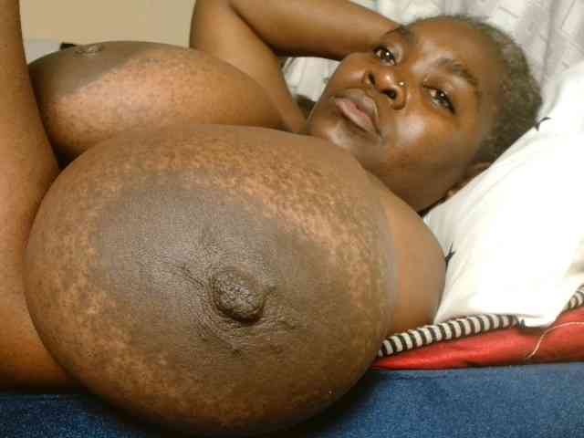 titi-fiesta webcam