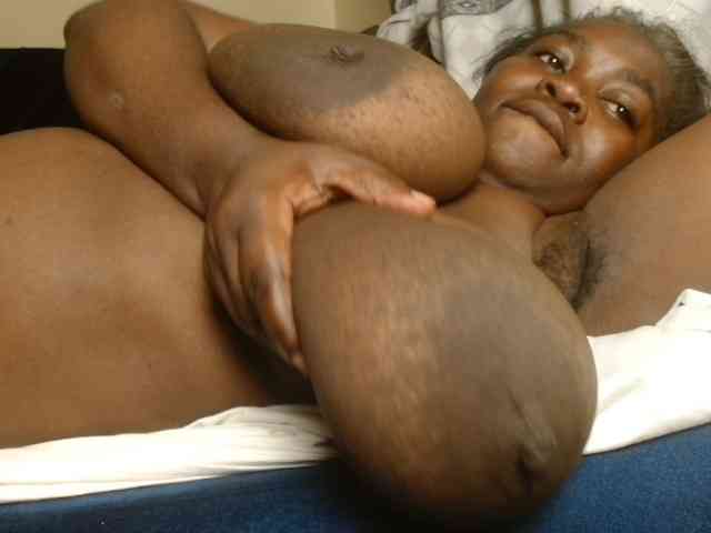 titi-fiesta webcam