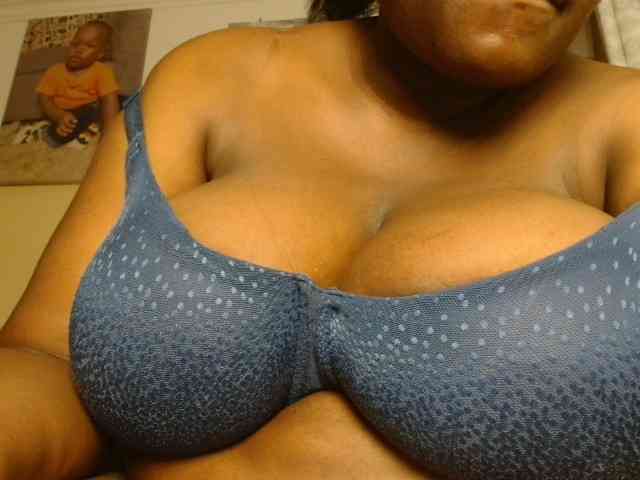 titi-fiesta webcam