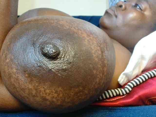 titi-fiesta webcam