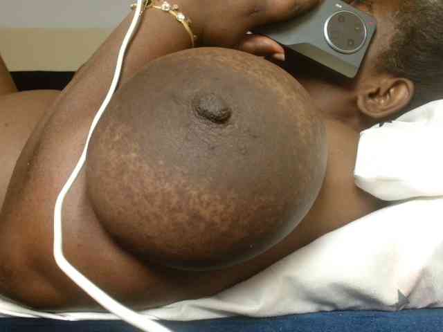 titi-fiesta webcam