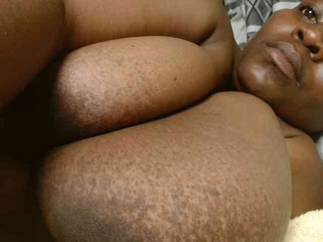 titi-fiesta webcam