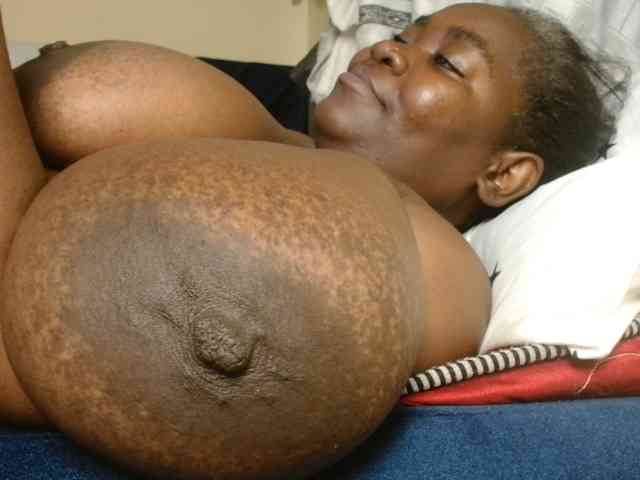 titi-fiesta webcam