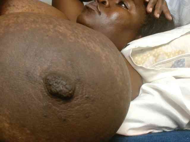 titi-fiesta webcam