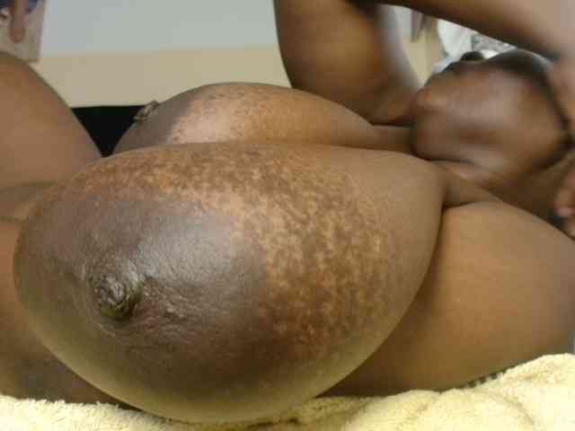 titi-fiesta webcam