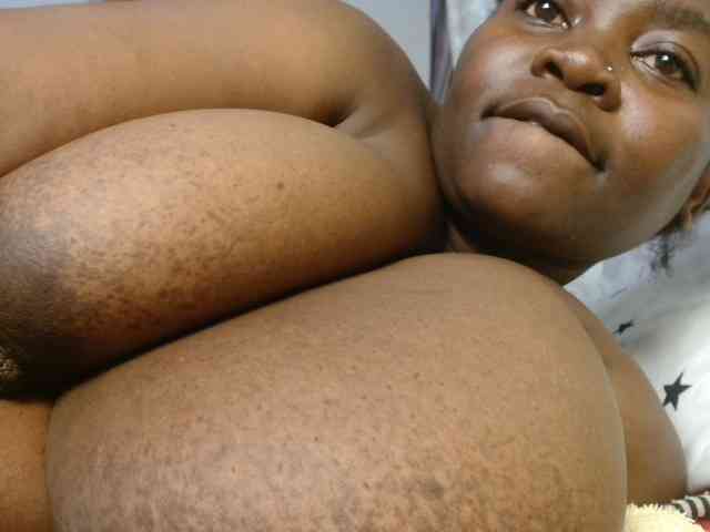 titi-fiesta webcam