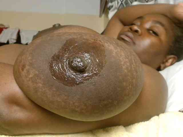 titi-fiesta webcam