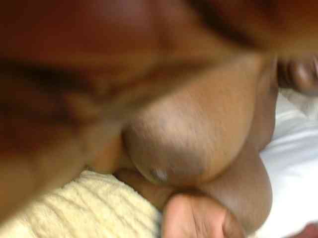 titi-fiesta webcam