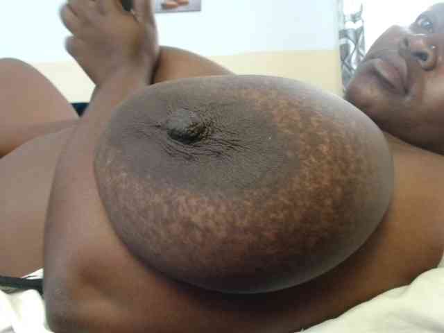 titi-fiesta webcam