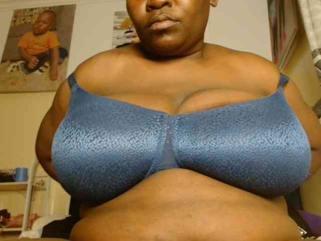 titi-fiesta webcam