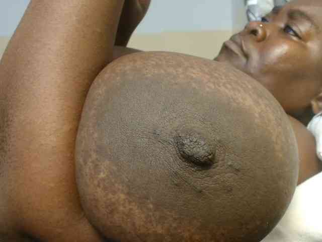titi-fiesta webcam