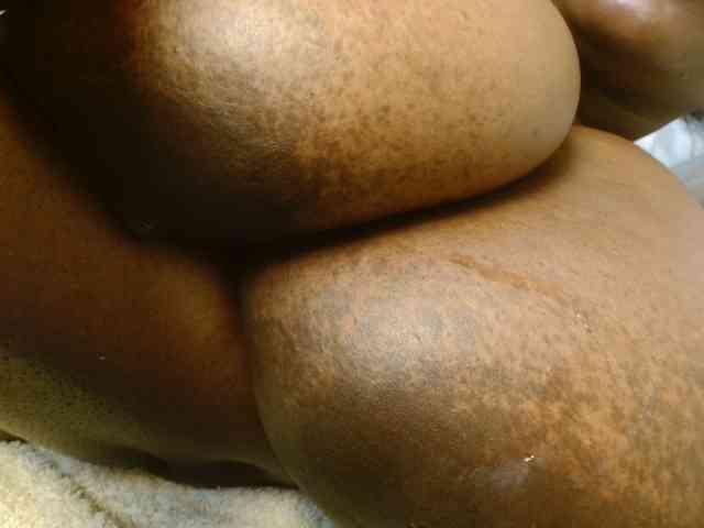 titi-fiesta webcam