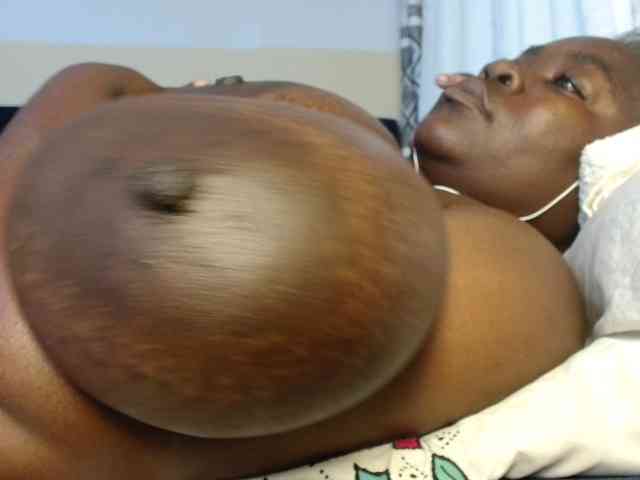 titi-fiesta webcam