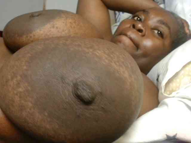 titi-fiesta webcam
