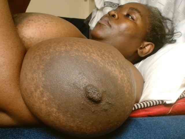 titi-fiesta webcam