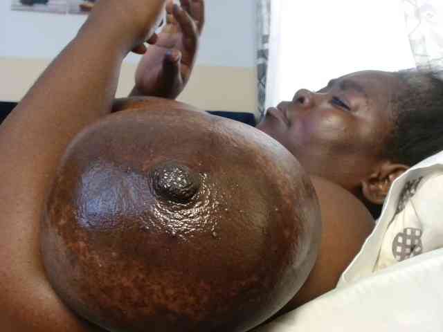 titi-fiesta webcam