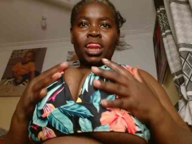 titi-fiesta webcam