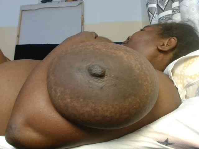 titi-fiesta webcam